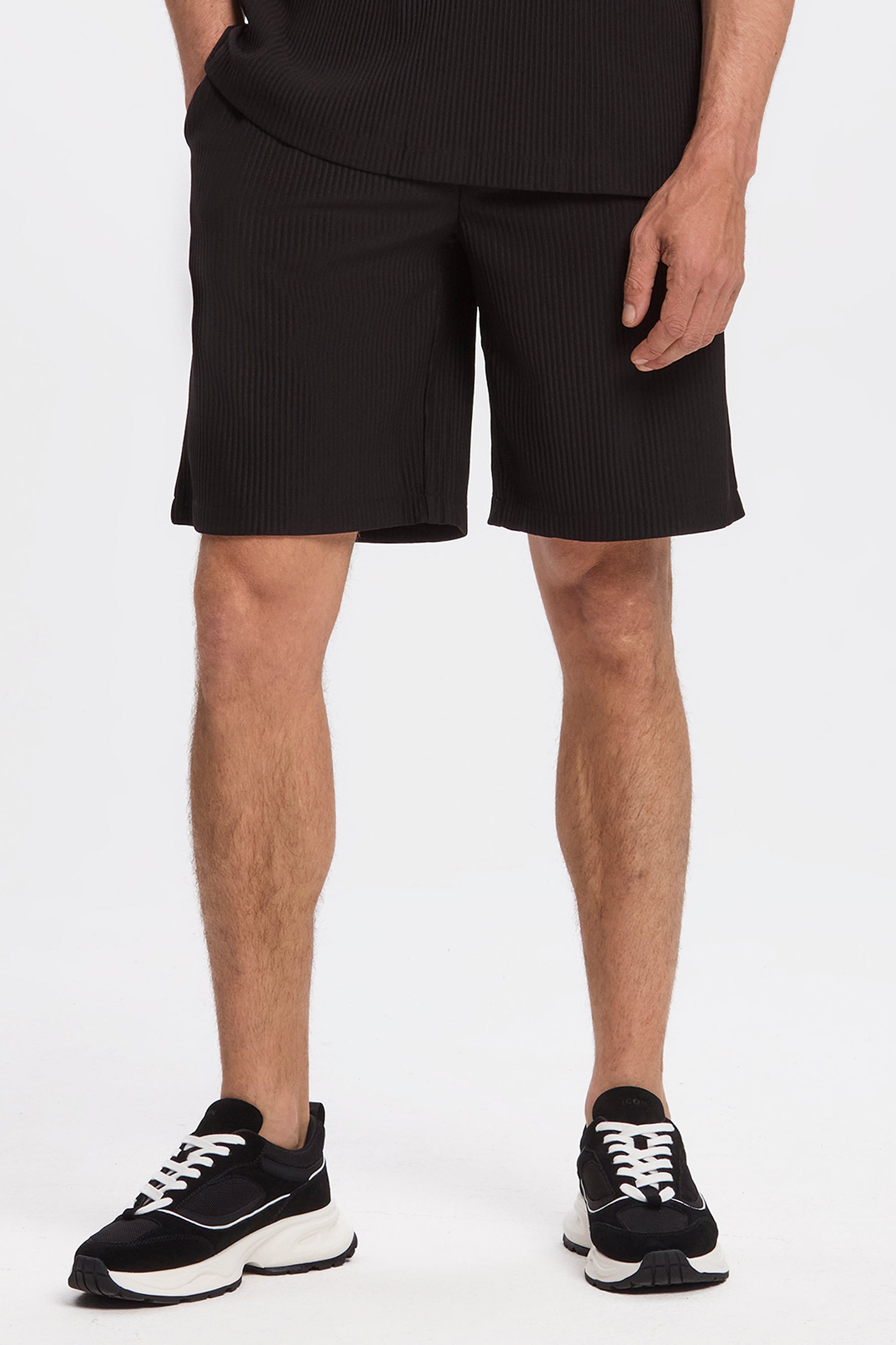 THE PLEATED SHORTS