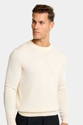 THE SANTONI CREWNECK SWEATER