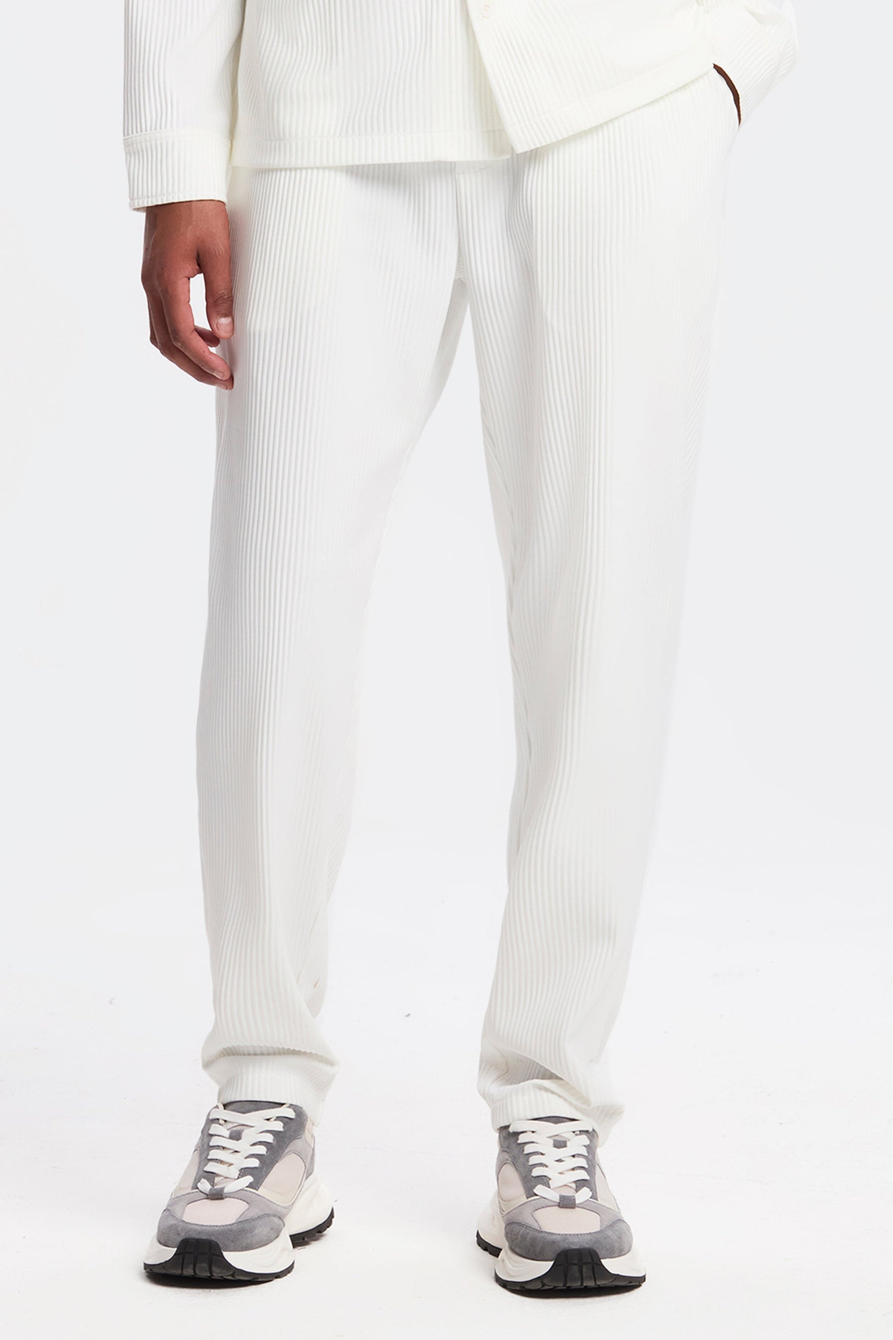 THE PLEATED TROUSERS